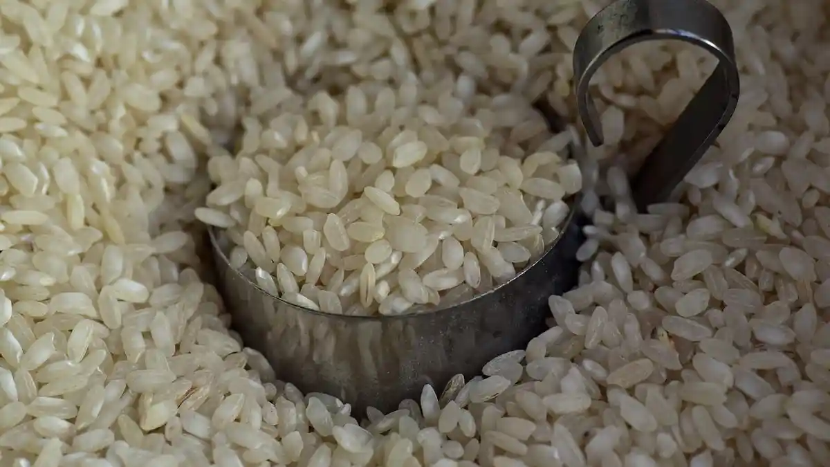 UPDATE Harga Beras dan Minyak Goreng di DIY Hari Ini Minggu 21 Juli 2024 Sleman Bantul Yogya