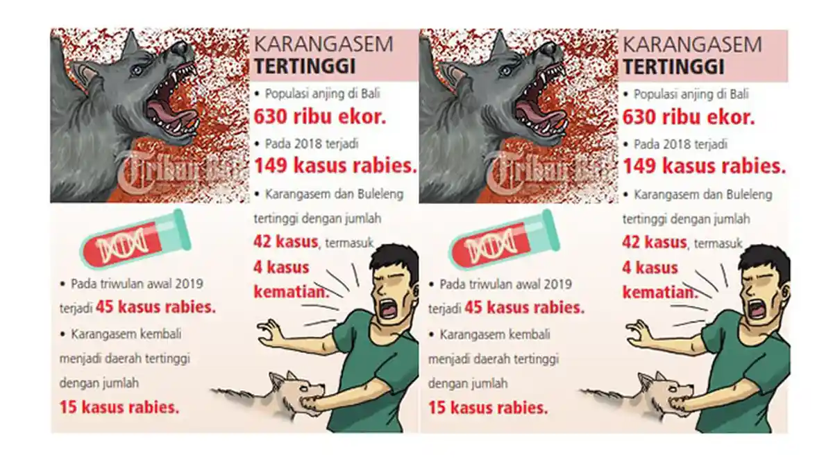 Gencarkan Pengendalian Rabies, 550 Ribu Vaksin Harus Tuntas Dalam 30 ...