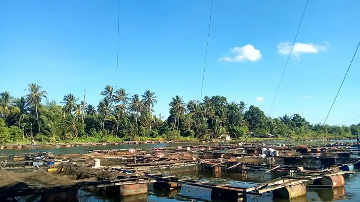 KalselPedia : Ini Sektor perikanan di Kabupaten Banjar, Juga Ada ...
