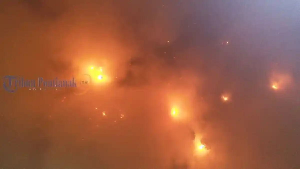 Kebakaran Lahan Nyaris Merembet Perumahan Warga di Jalan Purnama - karhutla_20180822_121730.jpg