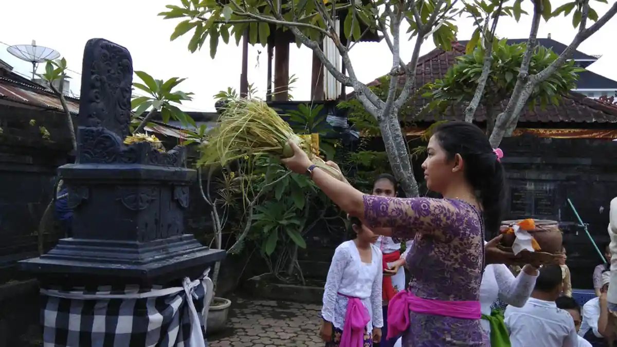 Ritual Mecaru, Persembahan Kepada Roh-Roh di Bawah Manusia - Tribun ...