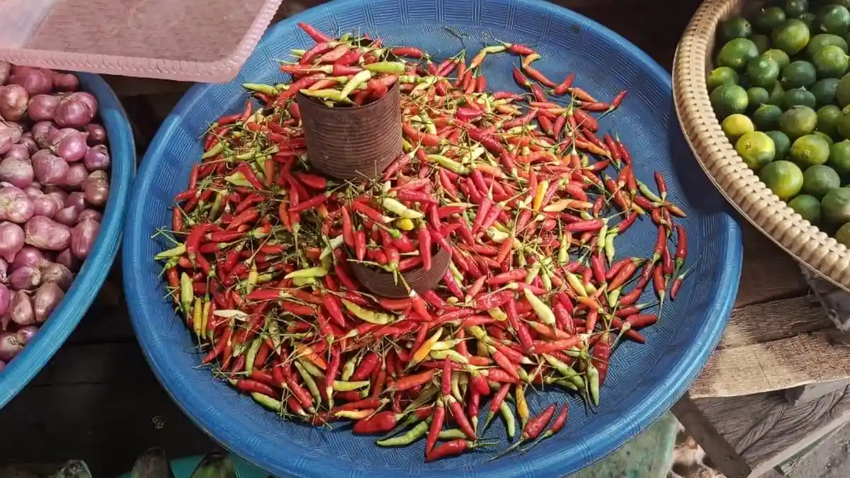 Harga Cabai di Pasar Namlea Melonjak Dua Kali Lipat dalam Tiga Hari 