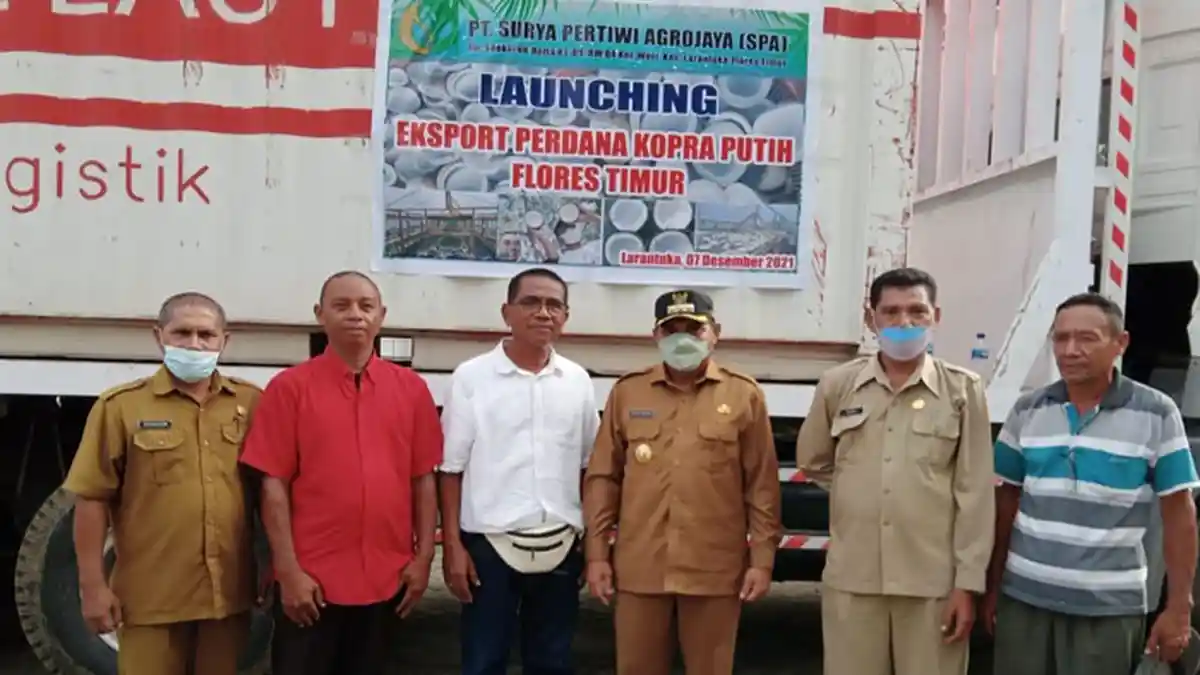 Ini Kelebihan Kopra Putih Asal Flores Timur dan Produk Turunannya