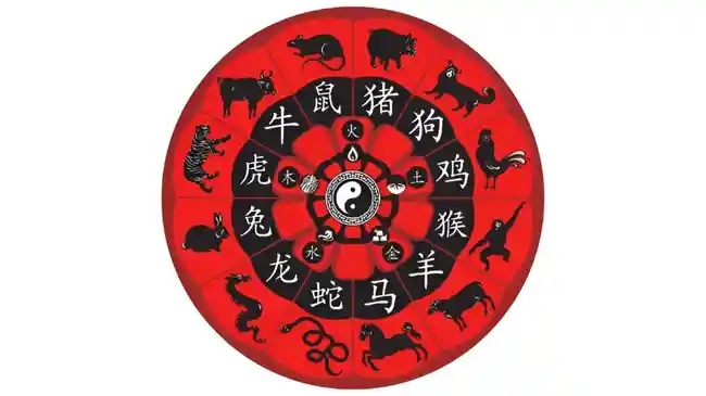 Tribun