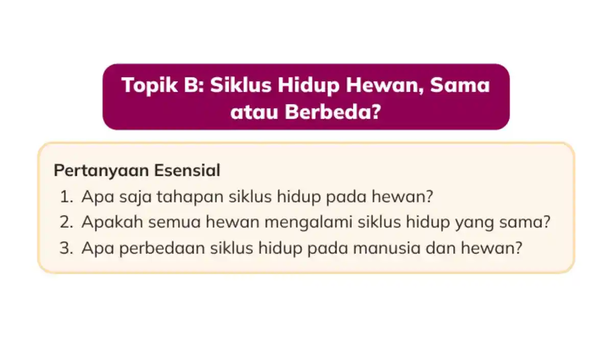 Kunci Jawaban IPAS Kelas 3 Halaman 37 Kurikulum Merdeka: Siklus Hidup Hewan