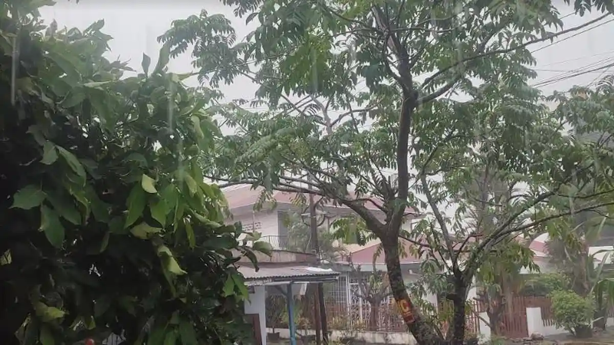 Hujan Deras Disertai Angin Kencang di Medan, BPBD Imbau Warga Hindari Berteduh di Bawah Pohon