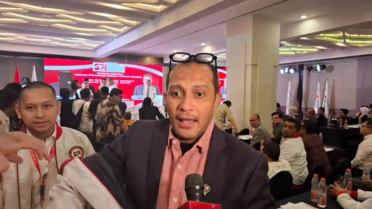 Wamenkum Eddy Hiariej Sebut Belum Ada Pembahasan RUU Advokat di Internal Pemerintah - Tribunnews.com