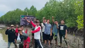 mangrove-08iol.jpg