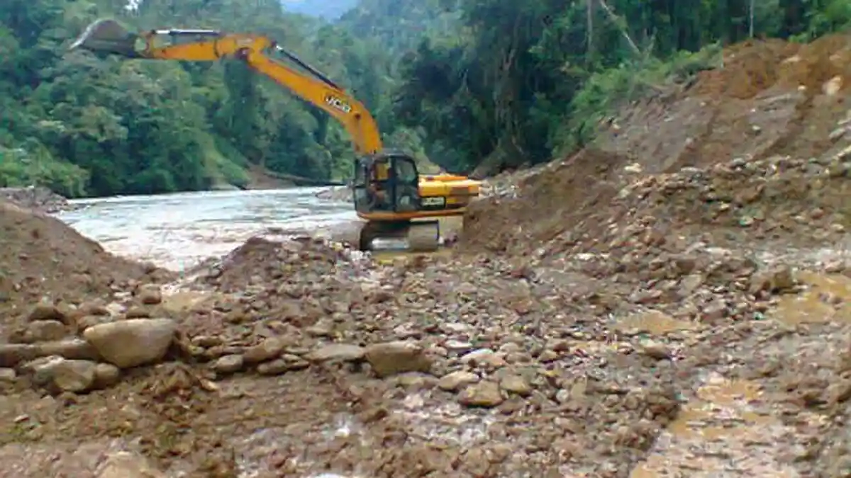 Disebut Lindungi PETI, Camat Pelepat: Kita Penjarakan