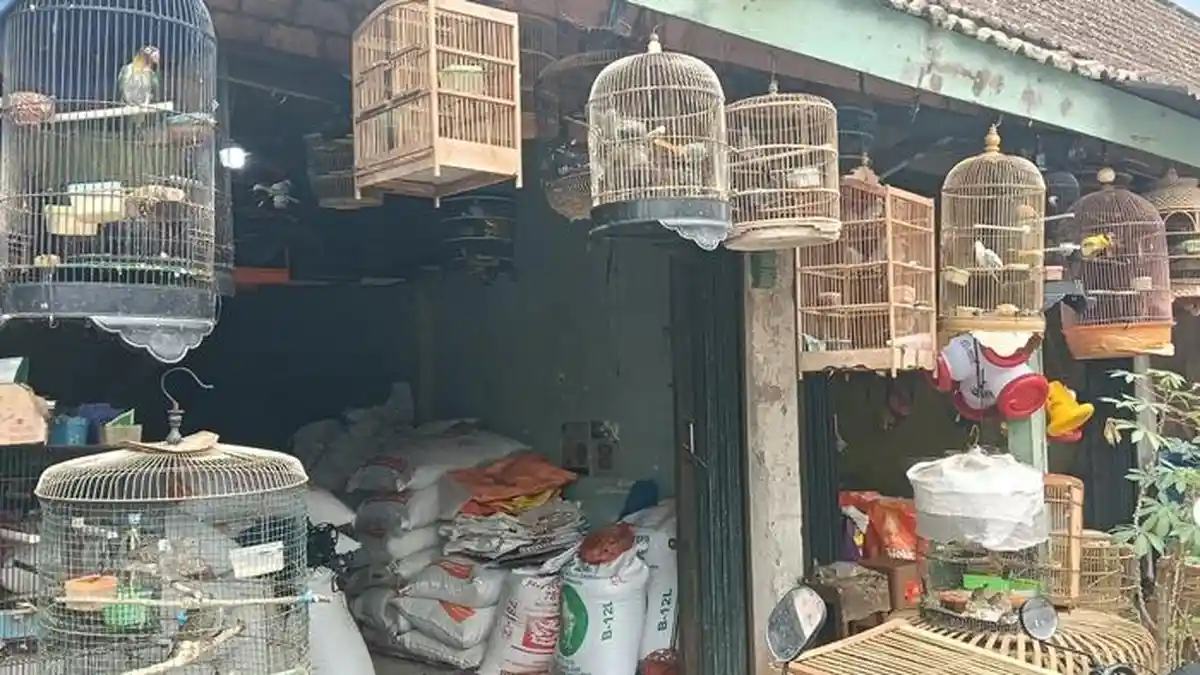 Imbas Kenaikan Dolar, Harga Pakan Ikan, Kucing, dan Ayam di Pasar Kayuagung Melonjak