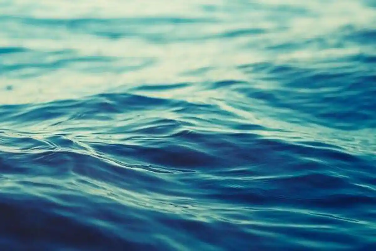 TNI AL Dirikan Lanal Baru di Sarni Papua, Minimalisir Kegiatan Illegal Logging dan Fishing