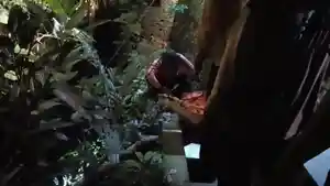 Petugas-BPBD-Gianyar-saat-mengevakuasi-WNA-yang-jatuh-di-jurang-di-Banjar-Kutuh-Kaja.jpg