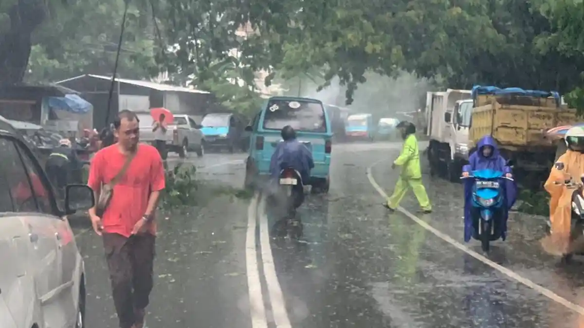 Awas Dahan Pohon Bertumbangan, Angin Selat Makassar Capai 61 km/Jam - tumbang_pohon_dahan.jpg