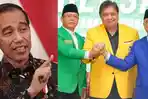 KIB-dibentuk-Presiden-Jokowi.jpg