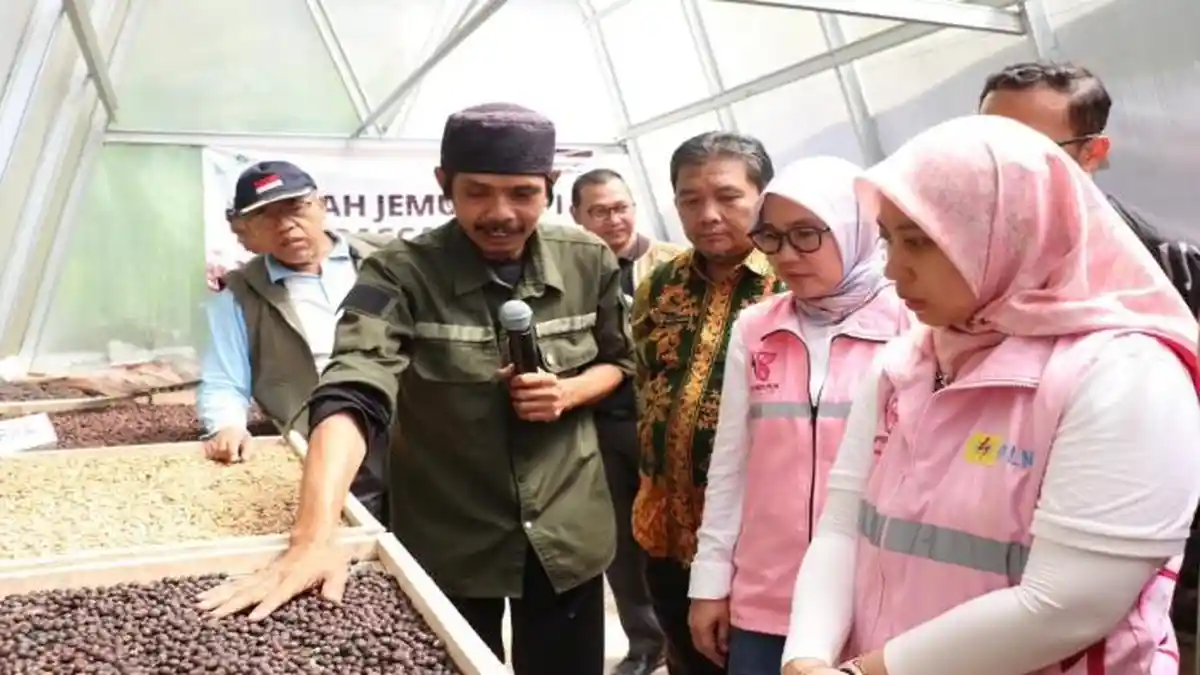 Dari Gunung Karang ke Pasar Dunia, PLN UID Banten dan Petani Kopi Juhut Menyulut Harapan