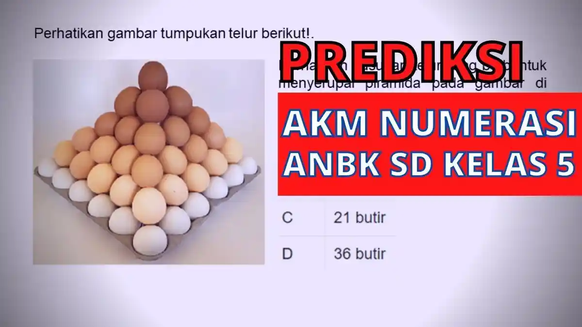 Materi Soal ANBK Kelas 5 SD Bagian Numerasi, Lengkap Latihan 15 Soal dan Kunci Jawaban