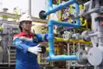Kilang Pertamina Plaju Berhasil Kurangi Emisi Gas Rumah Kaca