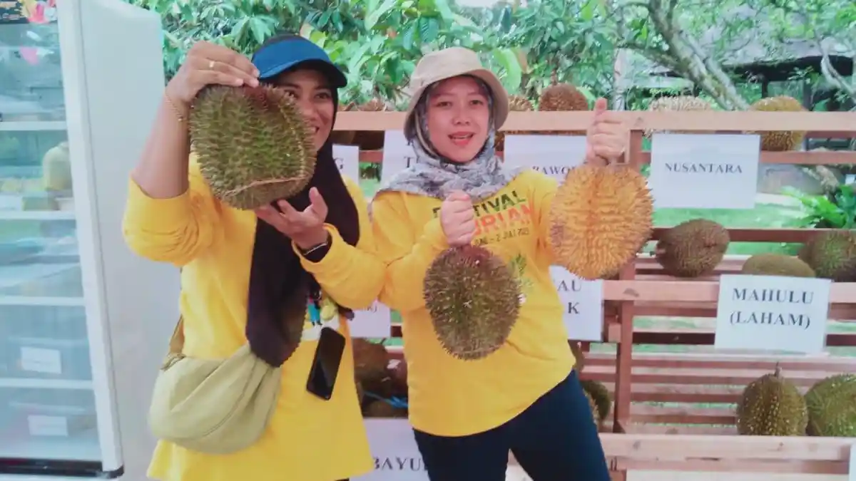 Libur Idul Adha dan Cuti Bersama, Wisata Rumah Ulin Arya Samarinda Gelar Festival Durian