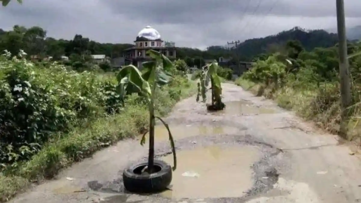 Warga Bintang Aceh Tengah Gelar Aksi Protes Minta Jalan Diperbaiki, Tanami Pisang di Jalan Berlubang