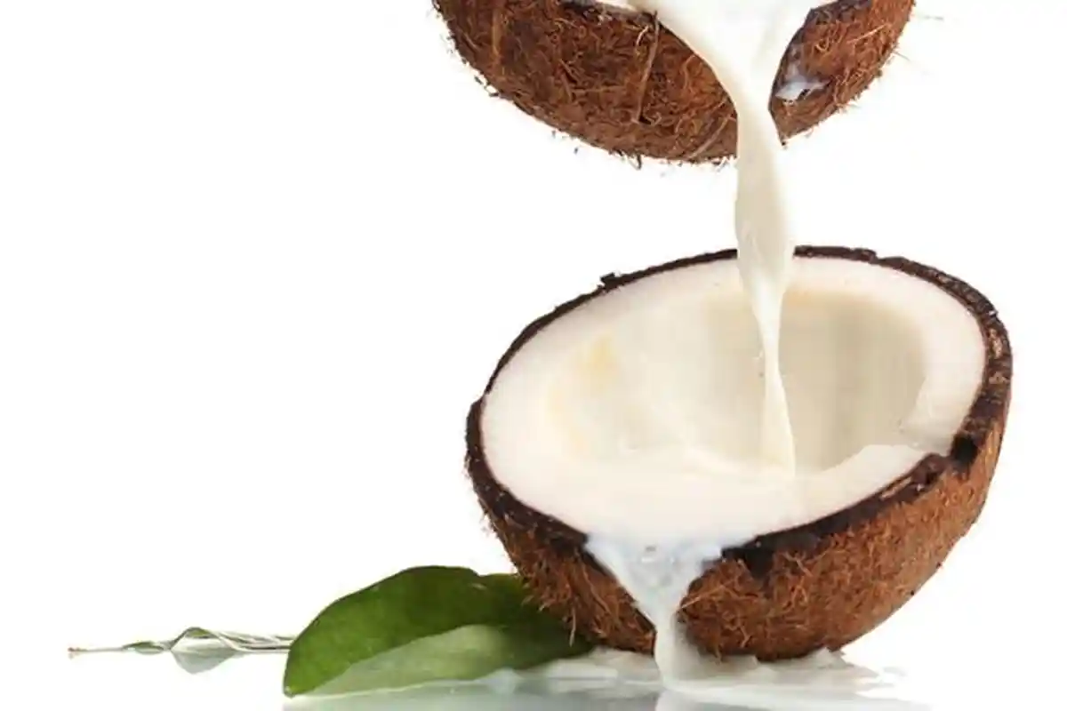 3 Hal yang Harus Diperhatikan saat Memasak dengan Santan, Nikmat Namun Beresiko Kolesterol