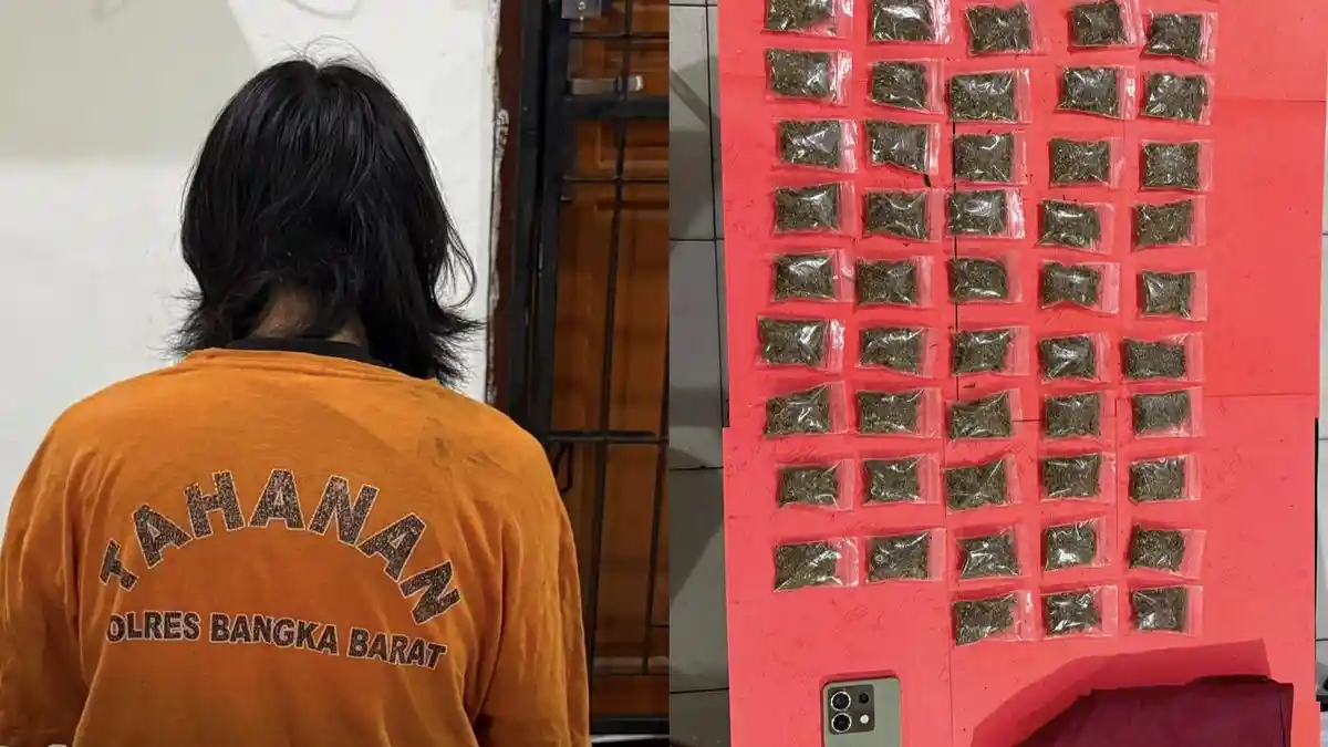 Pria di Mentok Tepergok Simpan 58 Paket Ganja