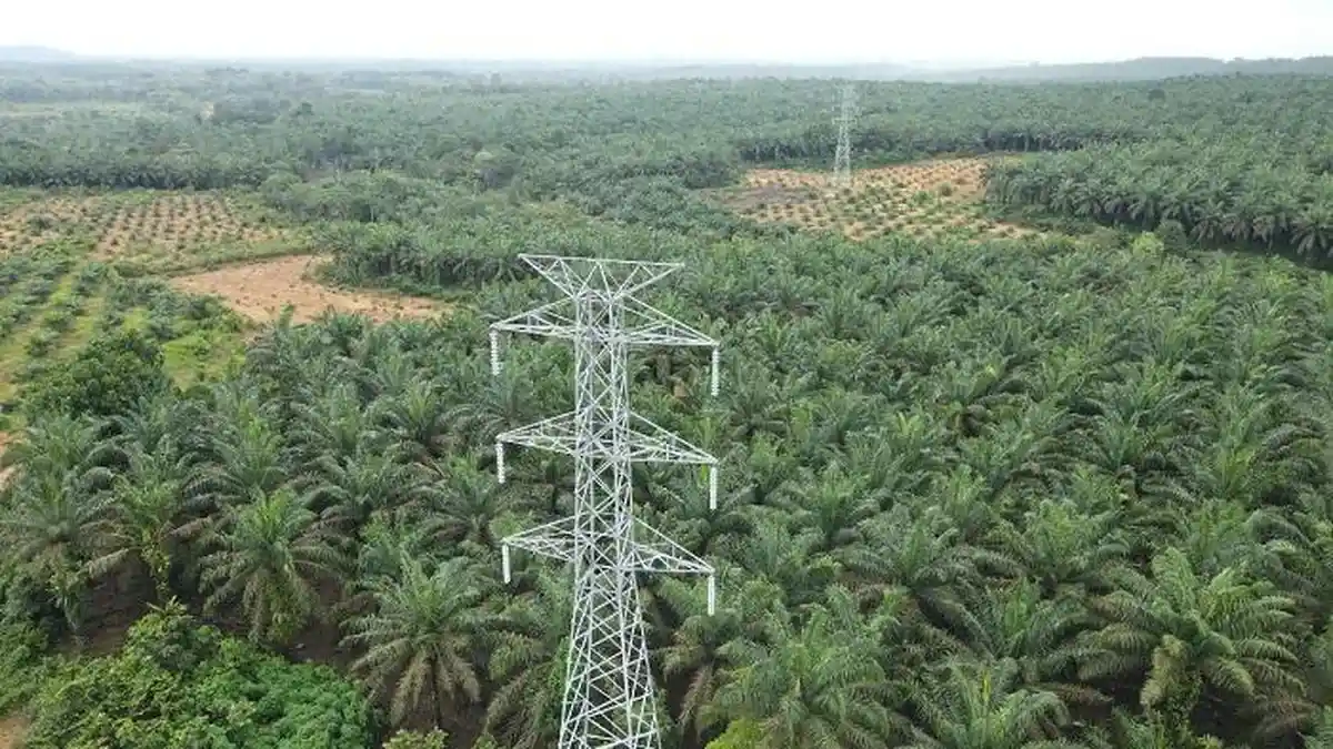 Proyek Interkoneksi Kalbar-Kalteng, SUTT 150 kV Kendawangan - Sukamara Sudah Capai Proses Stringing