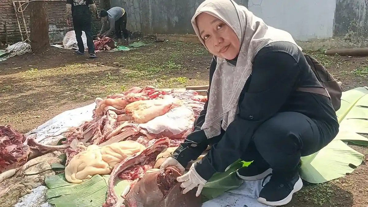 Dispaperta Batang Temukan Cacing Hati Hewan Kurban, Warga Diminta Jangan Panik