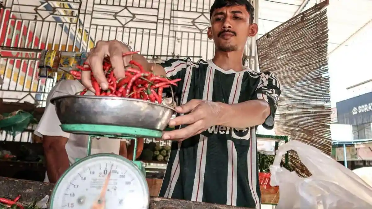 Mau Peringati Maulid? Harga Cabai Merah di Aceh Tamiang Turun Tajam