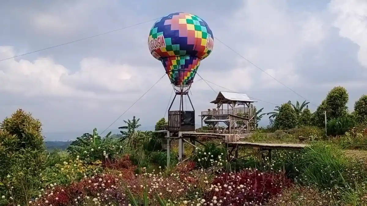 Banyak Spot Foto Menarik di Taman Bunga Celosia Kuningan, Buruan Datang, Masuknya Gratis!