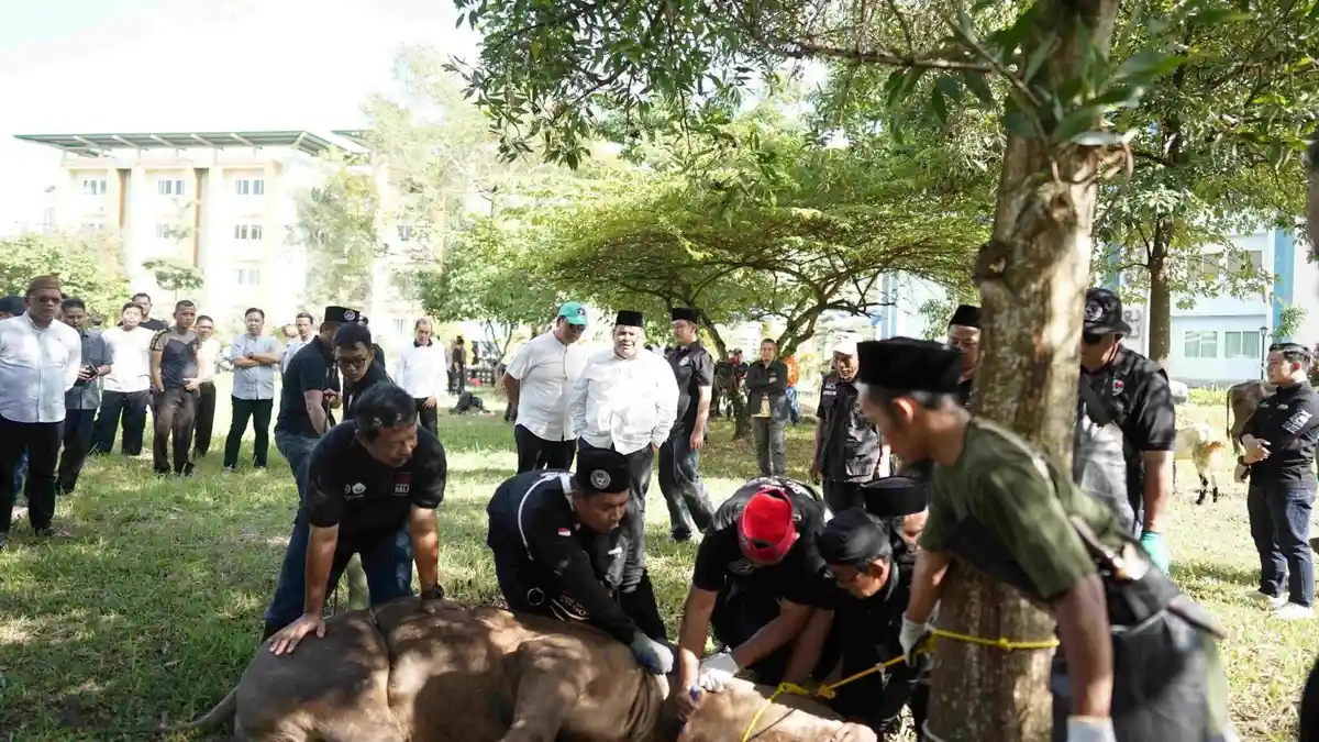 UIN Raden Intan Lampung Sembelih 19 Hewan Kurban pada Idul Adha 1447 H