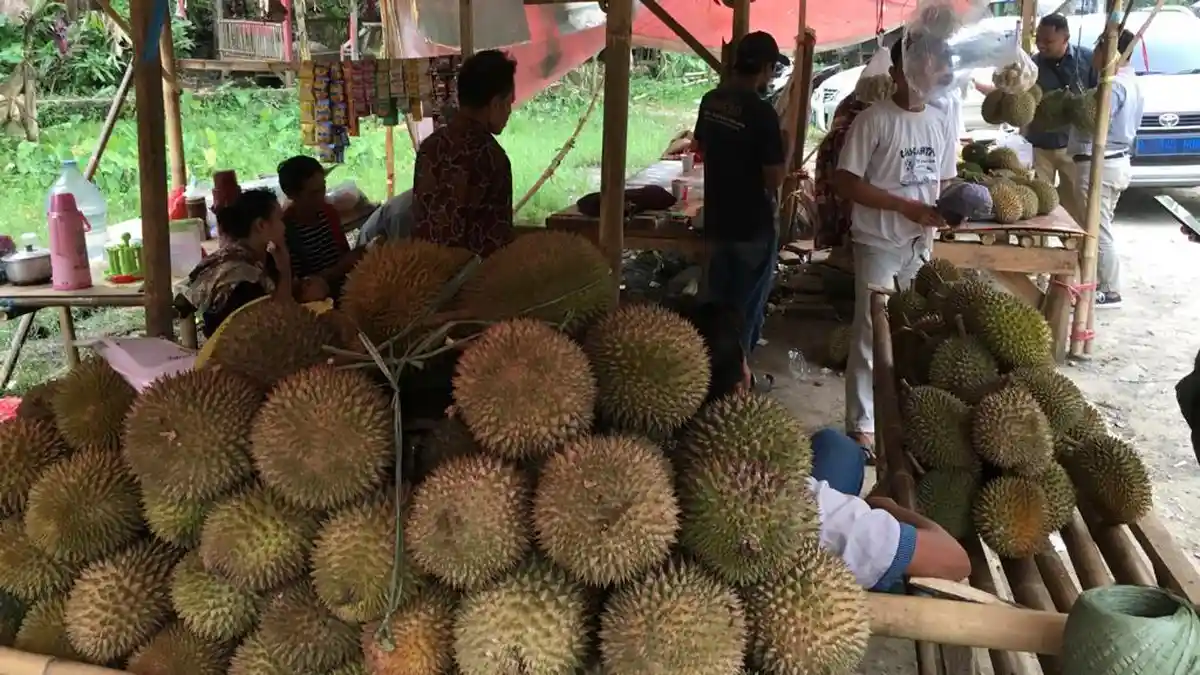 Mengintip Kampung Durian di Bogor, Pedagangnya Melimpah di Sepanjang Jalan