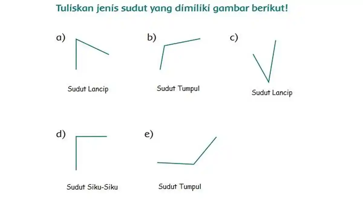 Kunci Jawaban Kelas 3 SD Tema 8 Halaman 28 29 35 36 38 39 40 41 45 46 49 50 51