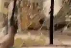 Bus-diseranggg.jpg