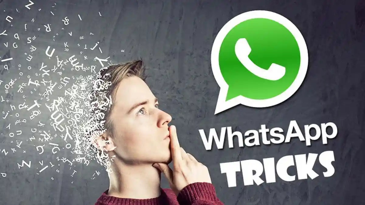 Cara Mudah Kirim Foto Lewat WhatsApp Tanpa Mengurangi Resolusi, Gambar Tak Pecah!