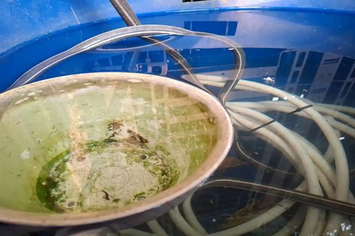 Waspada DBD di Batam, Batu Ampar Rawan, Batam Kota dan Bengkong Catat Kasus Tertinggi