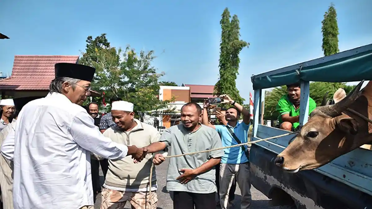 Pemkab Sintang Serahkan 2 Ekor Sapi, Jarot Winarno: Semoga Tepat Sasaran