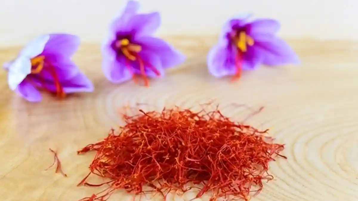 Saffron, Rempah yang Harganya Lebih Mahal daripada Emas