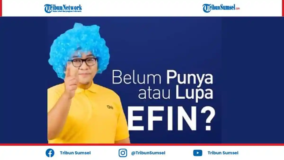 Cara Mendapatkan EFIN Secara Online Terbaru 2021, Lupa EFIN Pajak Pribadi Mudah dan Simpel