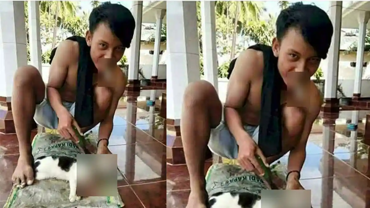 Sadis! Lakukan Hal Ini Pada Seekor Kucing, Pemuda Ini Sukses Jadi Bahan Hujatan Netizen