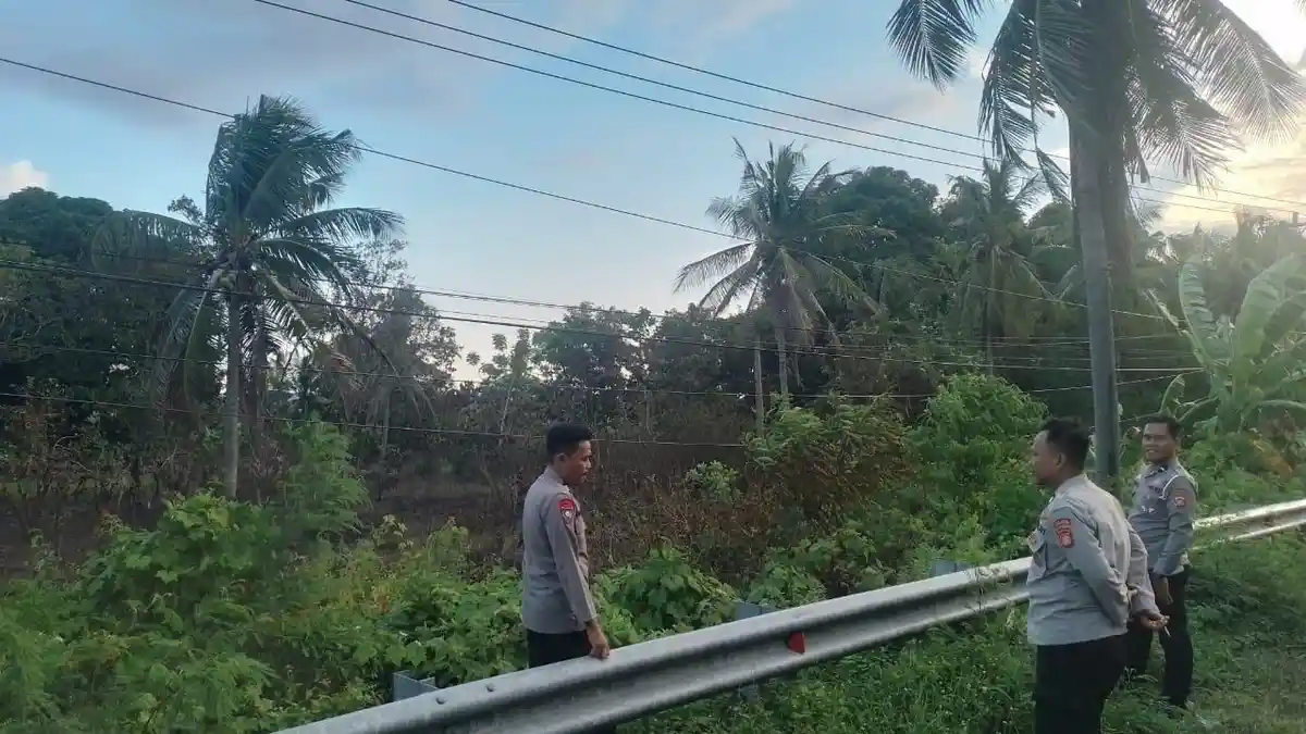 Petugas Damkar Berhasil Padamkan Kebakaran Lahan 2 Hektar di Balanipa Polman