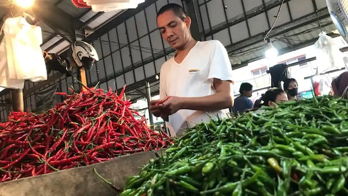 Harga Cabai di Jambi Naik, Rawit Hingga 55 Persen, Pasokan dari Bengkulu Jadi Sorotan