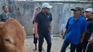lembu-guijkl.jpg
