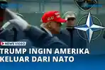 VIDEO -Trump Murka! NATO Disebut ‘Macan Ompong’, AS Pertimbangkan Mundur
