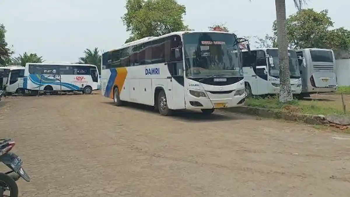 Tarif Bus DAMRI Naik, Tapi Penumpang Malah Meningkat, Ternyata Ini Penyebabnya
