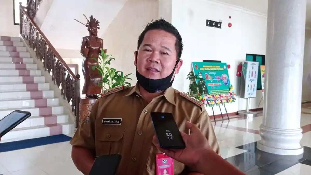Kuota Penerimaan Pegawai Non-PNS Malinau 2.873 Orang, Ini Persyaratan dan Mekanisme Pendaftarannya
