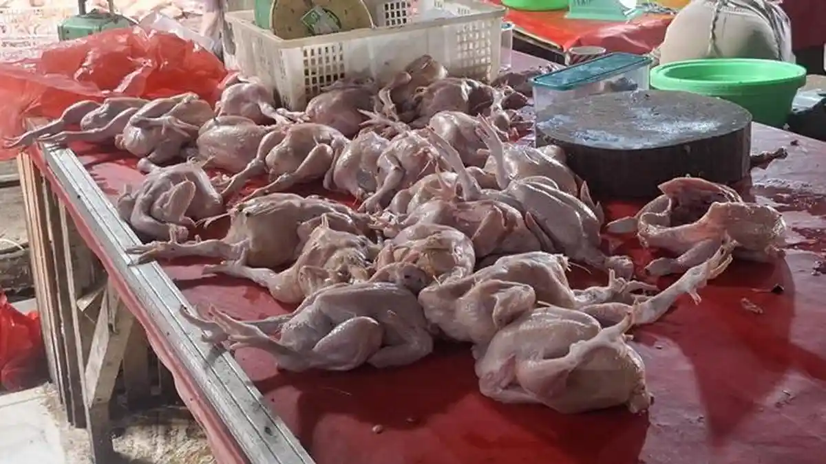 Pasar Pagi Pangkalpinang Ramai, Harga Ayam Kembali Normal Pascalebaran