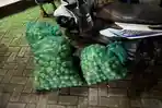 Marak Pencurian Jeruk di Banyuwangi: Pemuda Dihajar Warga di Gambiran, Karung Jadi Bukti