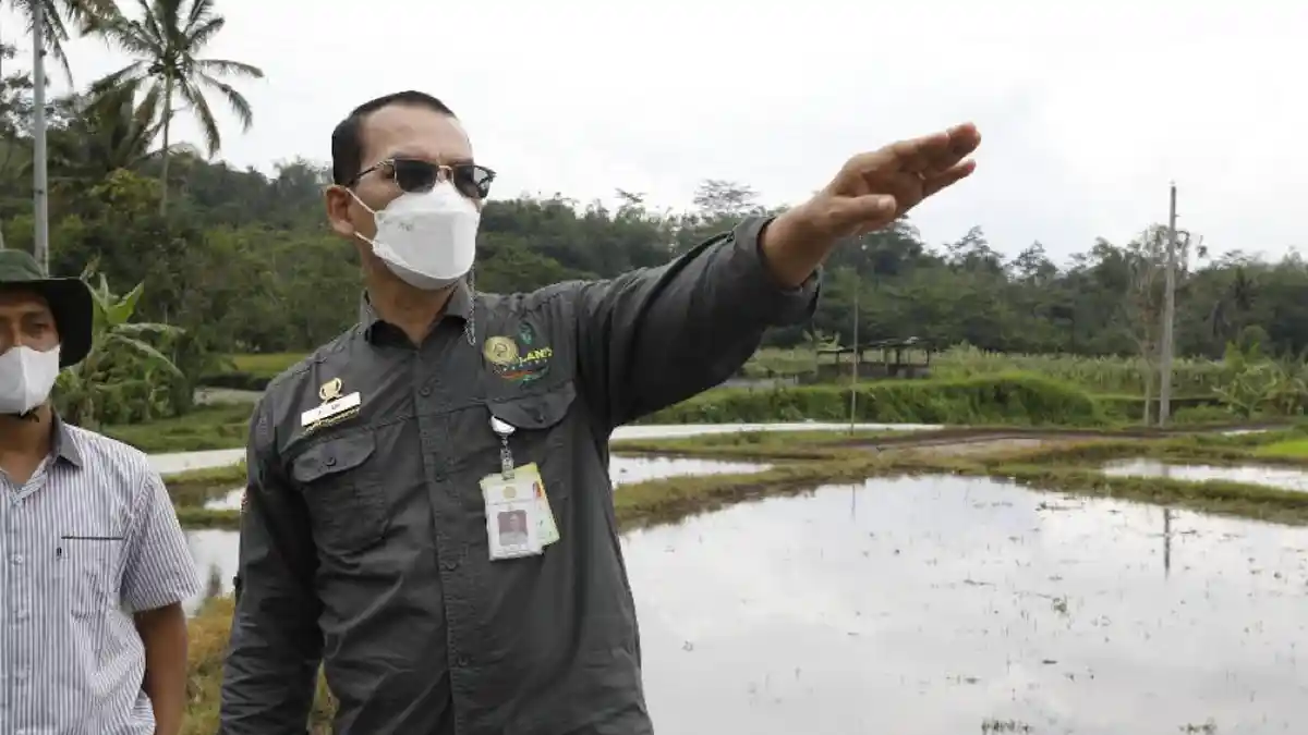 Program RJIT Kementan Bantu Petani Bengkayang Kalbar Kembangkan Budi Daya Pertanian