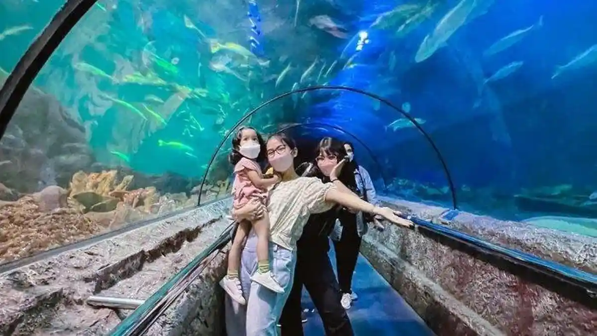 Dapatkan Promo Harga Tiket Masuk Sea World Ancol Juni 2022, Reguler Weekend Rp 130.000