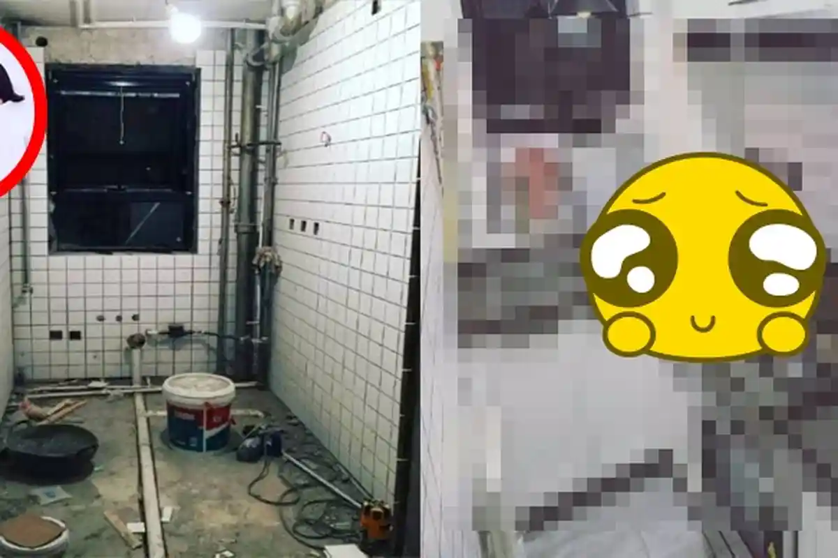 Pasangan Ini Beli Rumah Tua Jelek Kecil, Siapa Sangka 3 Bulan Kemudian Buat Orang Melongo!